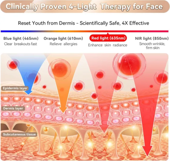 810hZzjUVoL._AC_SL1500_