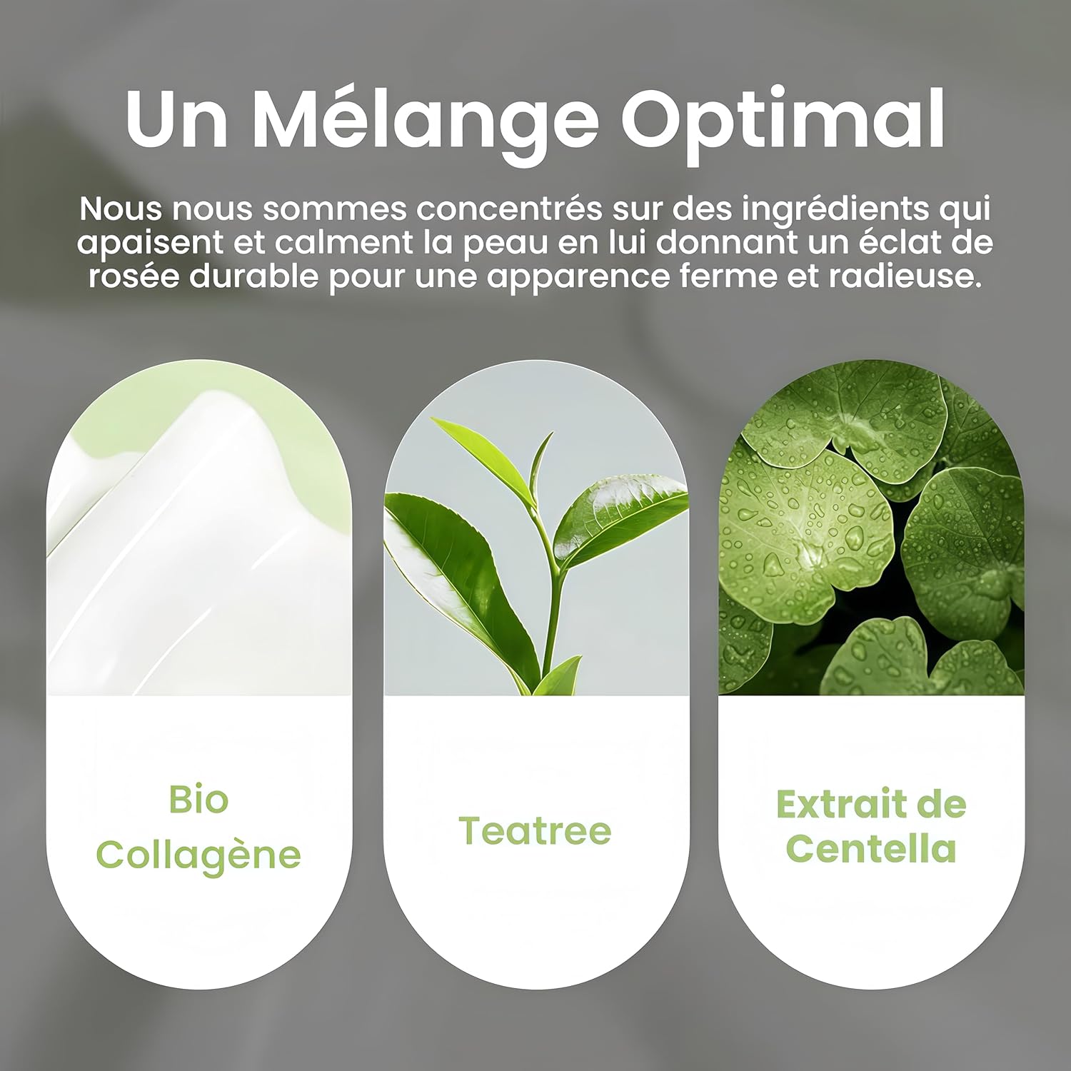 Leaf Cosmetic Masque Bio Collagène Visage & Tea Tree, Hydratant Anti-Âge, Réduit les Pores et Améliore l'Élasticité de la Peau, Soin Raffermissant pour un Teint Éclatant et Jeune 1*4PCS