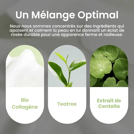Leaf Cosmetic Masque Bio Collagène Visage & Tea Tree, Hydratant Anti-Âge, Réduit les Pores et Améliore l'Élasticité de la Peau, Soin Raffermissant pour un Teint Éclatant et Jeune 1*4PCS